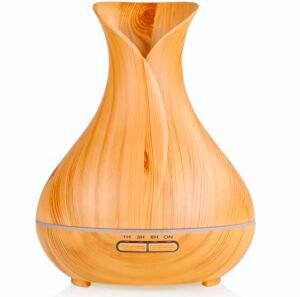 PHOTO-2026-08-13-23-53-18 Humidifier Big